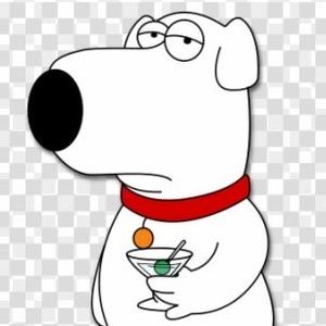 Meet your Posher, Ronnie